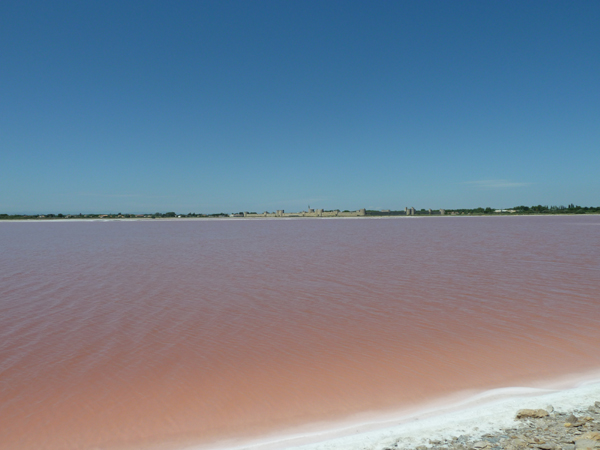 Le Saunier de Camargue